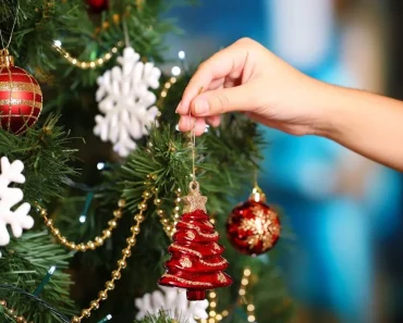 Bewiesen: Wer seinen Weihnachtsbaum jetzt aufstellt, ist glücklicher – und hier ist der Grund dafür