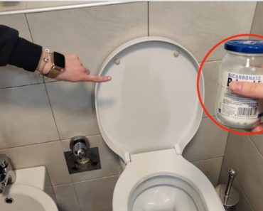 Ihre Toilette ist eine Brutstätte für Bakterien, dieser Glibber löst das Problem auf einen Schlag!