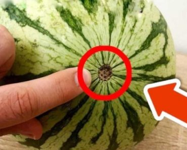 Wenn Sie dieses Detail an Ihrer Wassermelone bemerken, kaufen Sie sie nicht! (Hier ist der Grund)