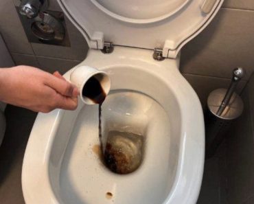 Gießen Sie eine Tasse Kaffee in die Toilette und machen Sie sich bereit, Zeuge von etwas zu werden, das Sie noch nie gesehen haben