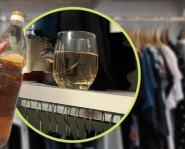 Stellen Sie heute ein Glas Essig in Ihren Kleiderschrank – der Grund dafür ist großartig.